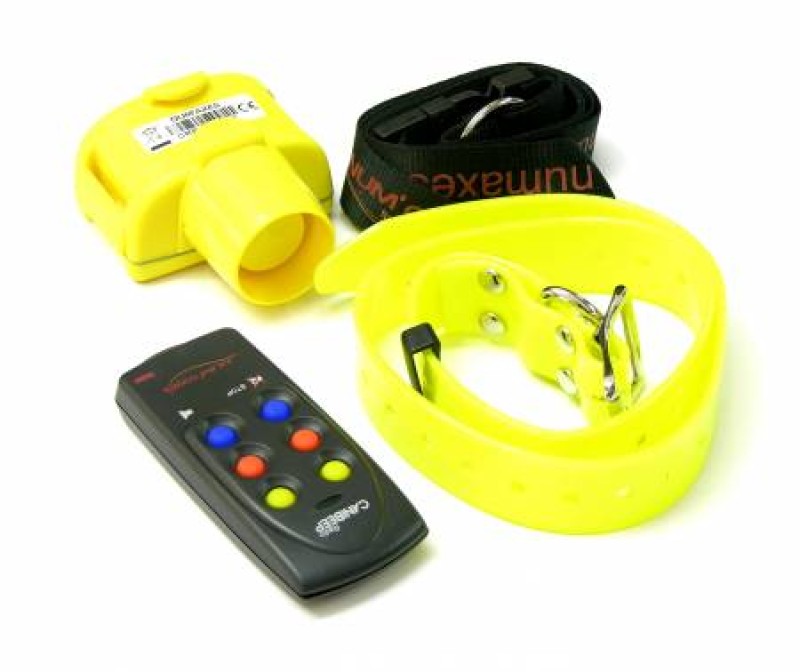 CANICOM CANIBEEP RADIO PRO con telecomando