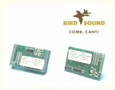 BIRD SOUND Schede canti