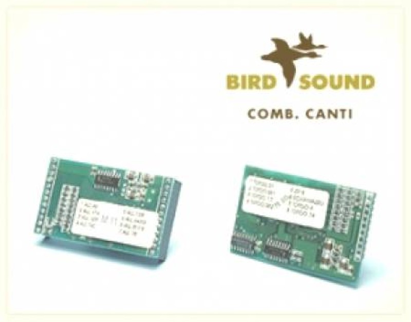 BIRD SOUND Schede canti
