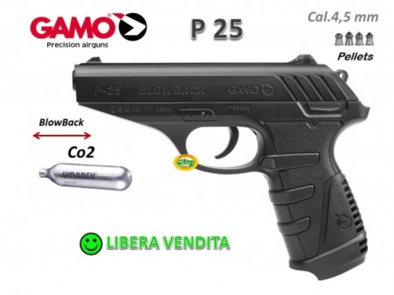 GAMO P25 Blowback CO2 cal.4,5 