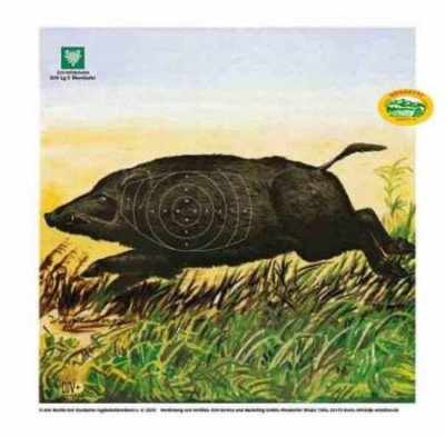 DJV Bersaglio Cinghiale