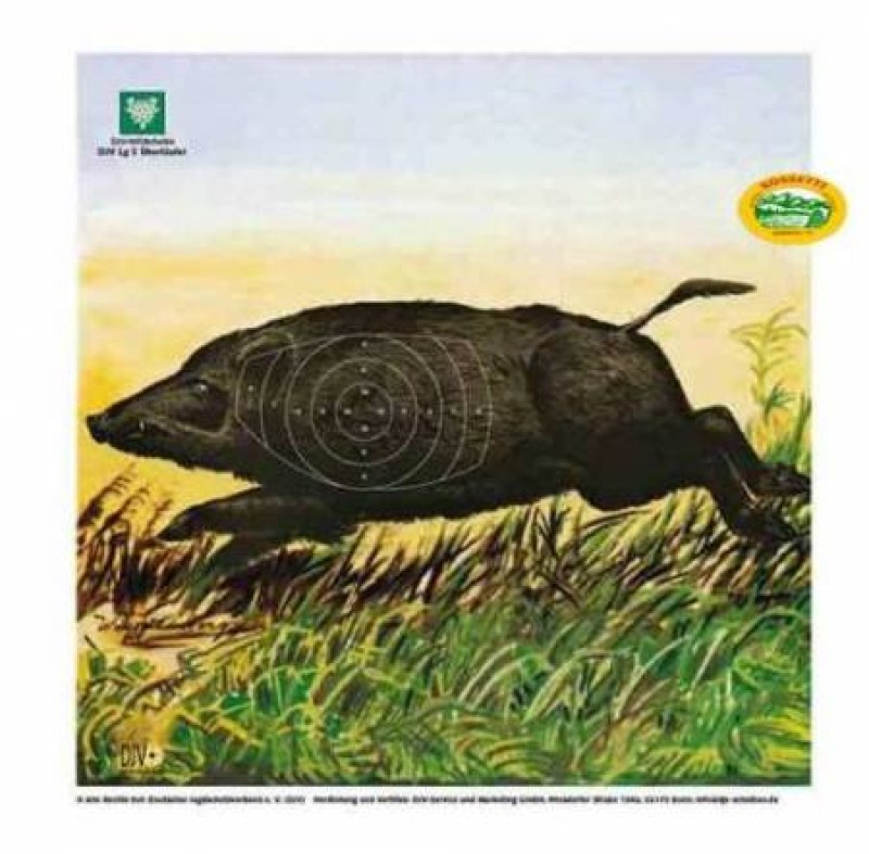 DJV Bersaglio Cinghiale