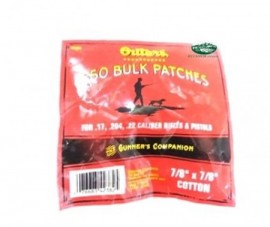  -  - PULIZIA e MANUTENZIONE ARMI