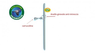 EVOLUZIONE COLOMBACCIO picchetto da campo