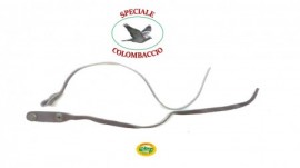  -  - SPECIALE COLOMBACCIO