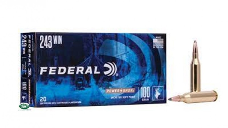 FEDERAL munizioni cal.243 win 100 gr. Soft Point 243B