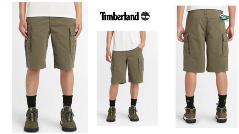 TIMBERLAND Short brookline Poplin Cargo da Uomo verde